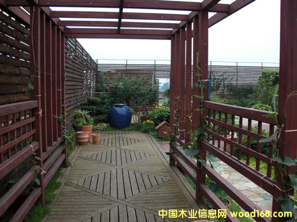  ����ľ��Ԕ��(x��)��B