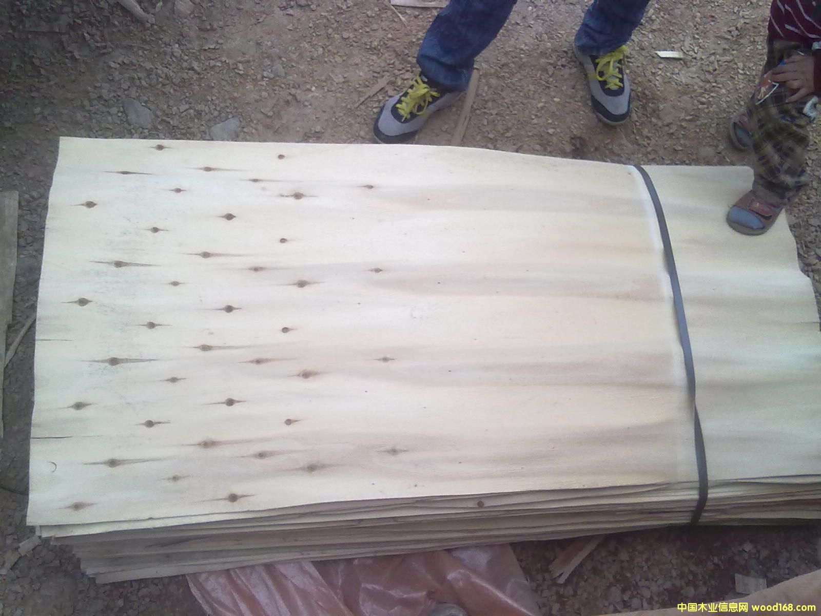 ��ľ�ΰ��Ԕ��(x��)��B