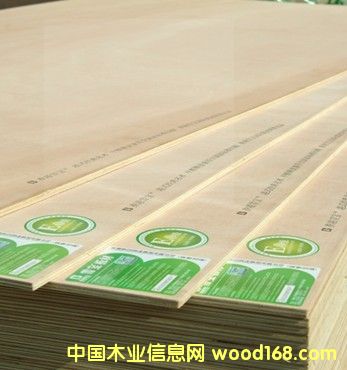 ��ͯ����(zhu��n)���z�ϰ��Ԕ��(x��)��B