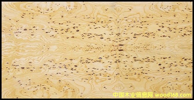 ����Λ�c��Ԕ����B