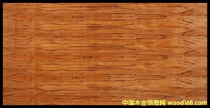 蘋果木的詳細介紹