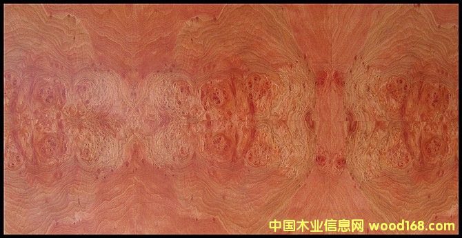 ��˹�����Ԕ����B