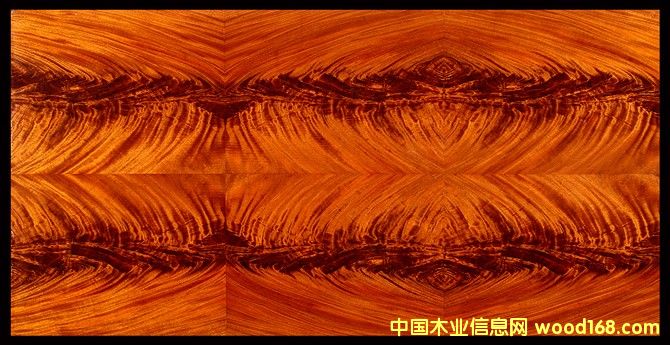 �һ�о��辵�Ԕ����B