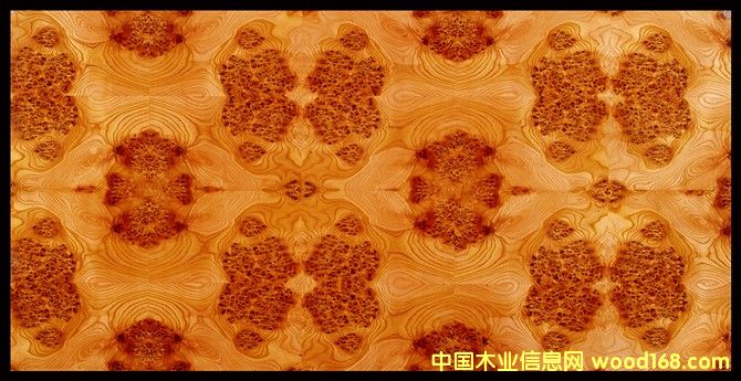 ��ľ�����Ԕ����B