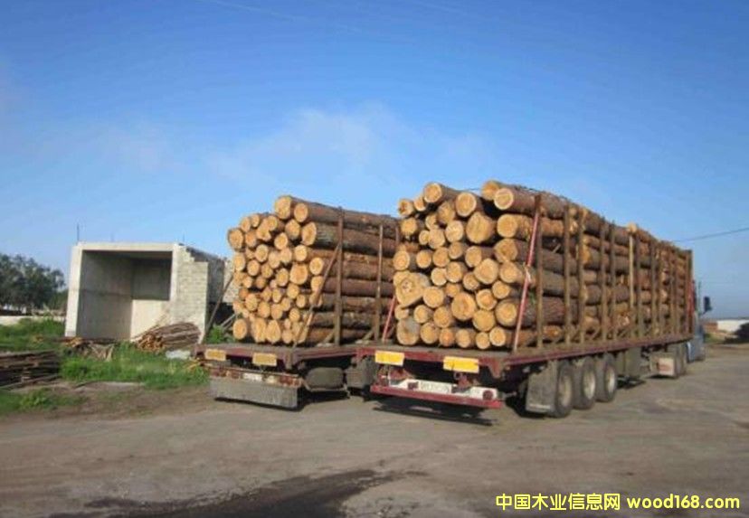 �����ɰ��