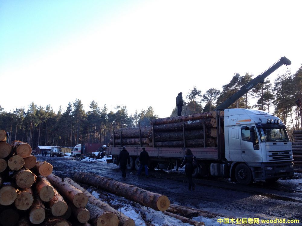 �����ɰ�ĵ�Ԕ����B