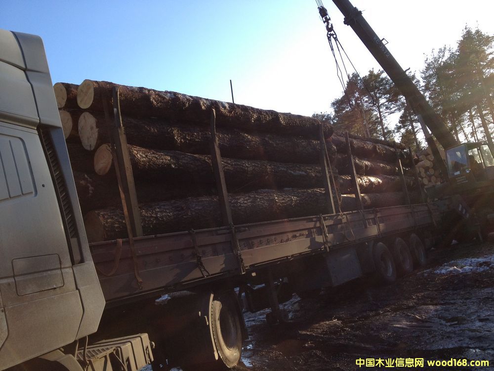 �����ɰ�ĵ�Ԕ����B