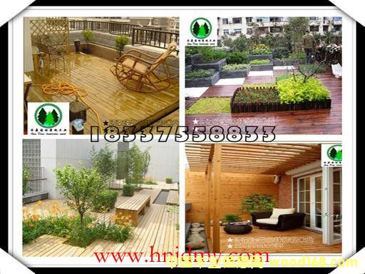 ����ľ��_ͥԺ�ذ��Ԕ����B