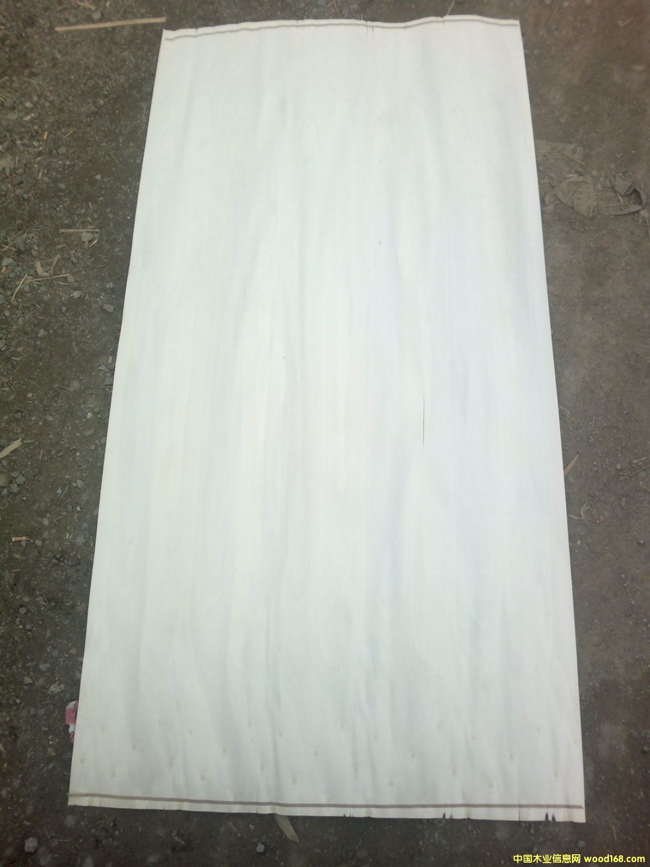 Ư�ח�ľ��Ƥ��Ԕ����B