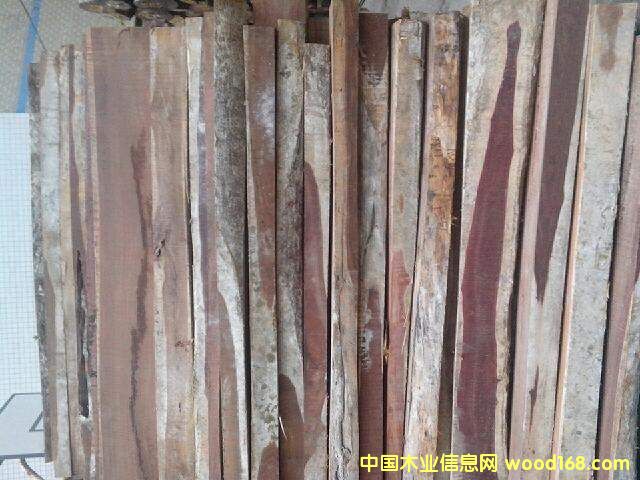 �t��֦��Ԕ��(x��)��B