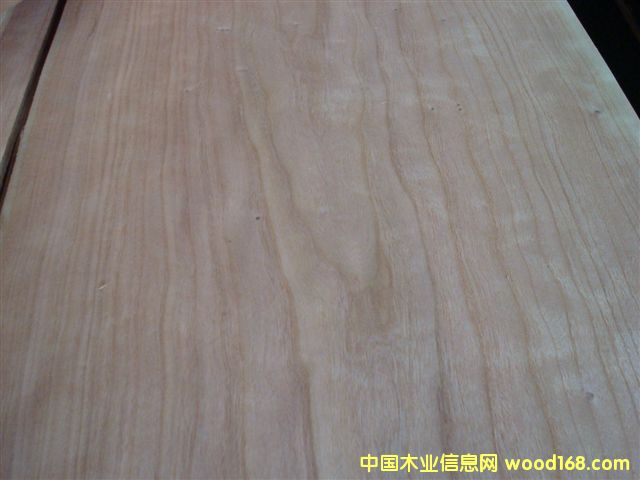 ���ҵ�Ԕ��(x��)��B