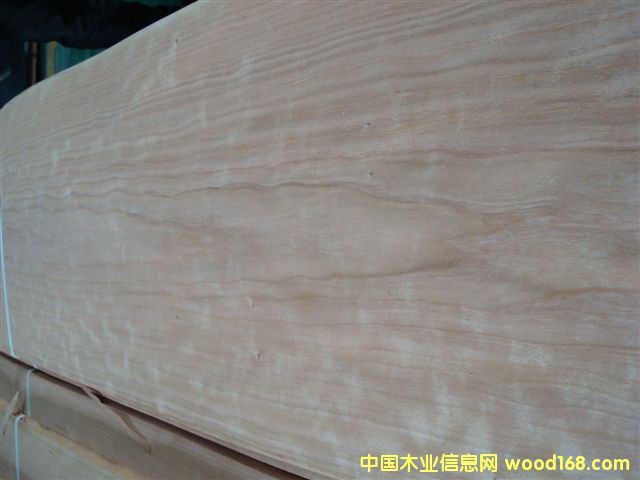 ���ҵ�Ԕ��(x��)��B