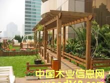 ����ľ��Ԕ��(x��)��B