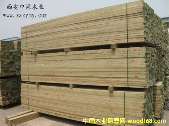 ����ľ��Ԕ����B