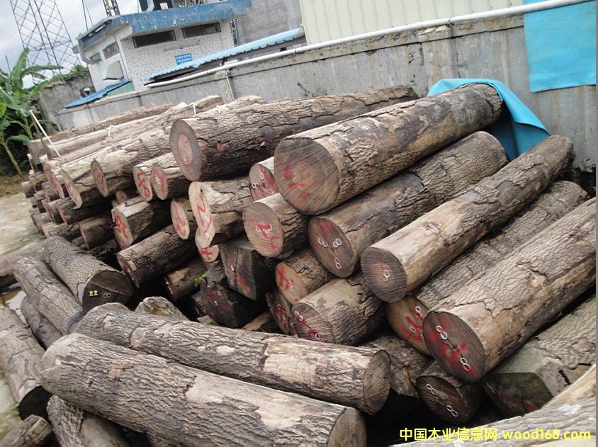 ˮ������Ƭ�ĵ�Ԕ����B