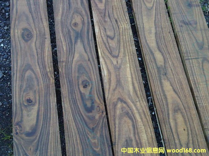 �_(t��i)��С�~��˼ľ��Ԕ��(x��)��B