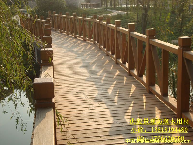 ���^����ľ��Ԕ����B