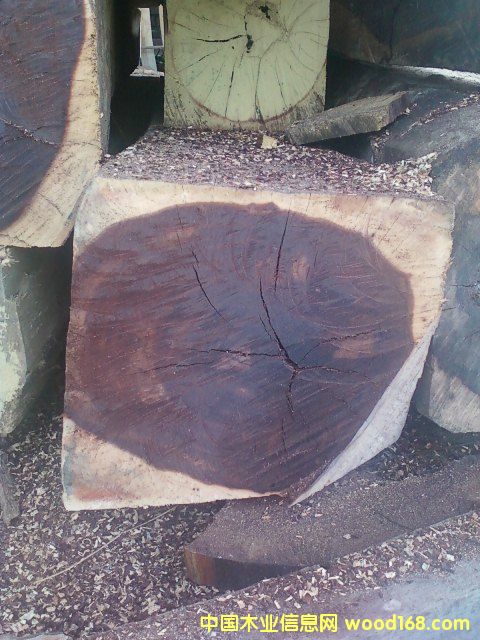 ΢���S̴��Ԕ��(x��)��B