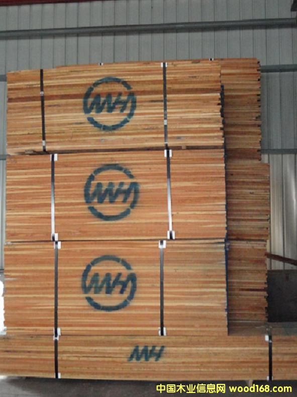 ����ľ��Ԕ����B