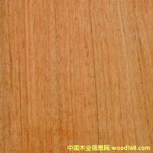 �\�~�Kľ��Ԕ��(x��)��B