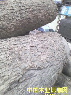 ����ԭľ��Ԕ����B