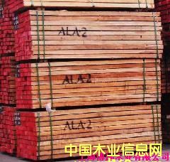 �����Ԕ��(x��)��B