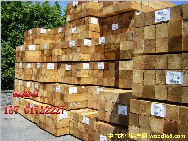 �tѩ�ɰ�ķ�ľ