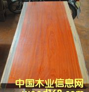 �t�������Ԕ��(x��)��B