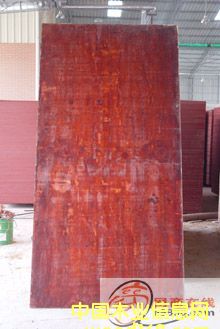 �c(di��n)���鿴��ľ���Ŵ�DƬ