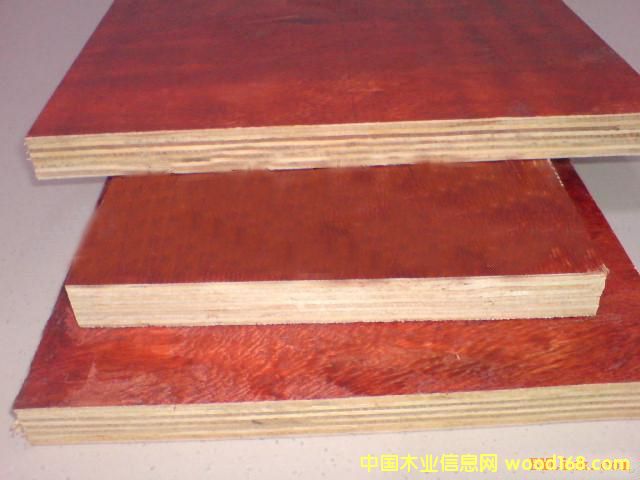 �c(di��n)���鿴��ľ���Ŵ�DƬ