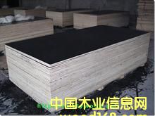 �c(di��n)���鿴��ˮģ��Ŵ�DƬ