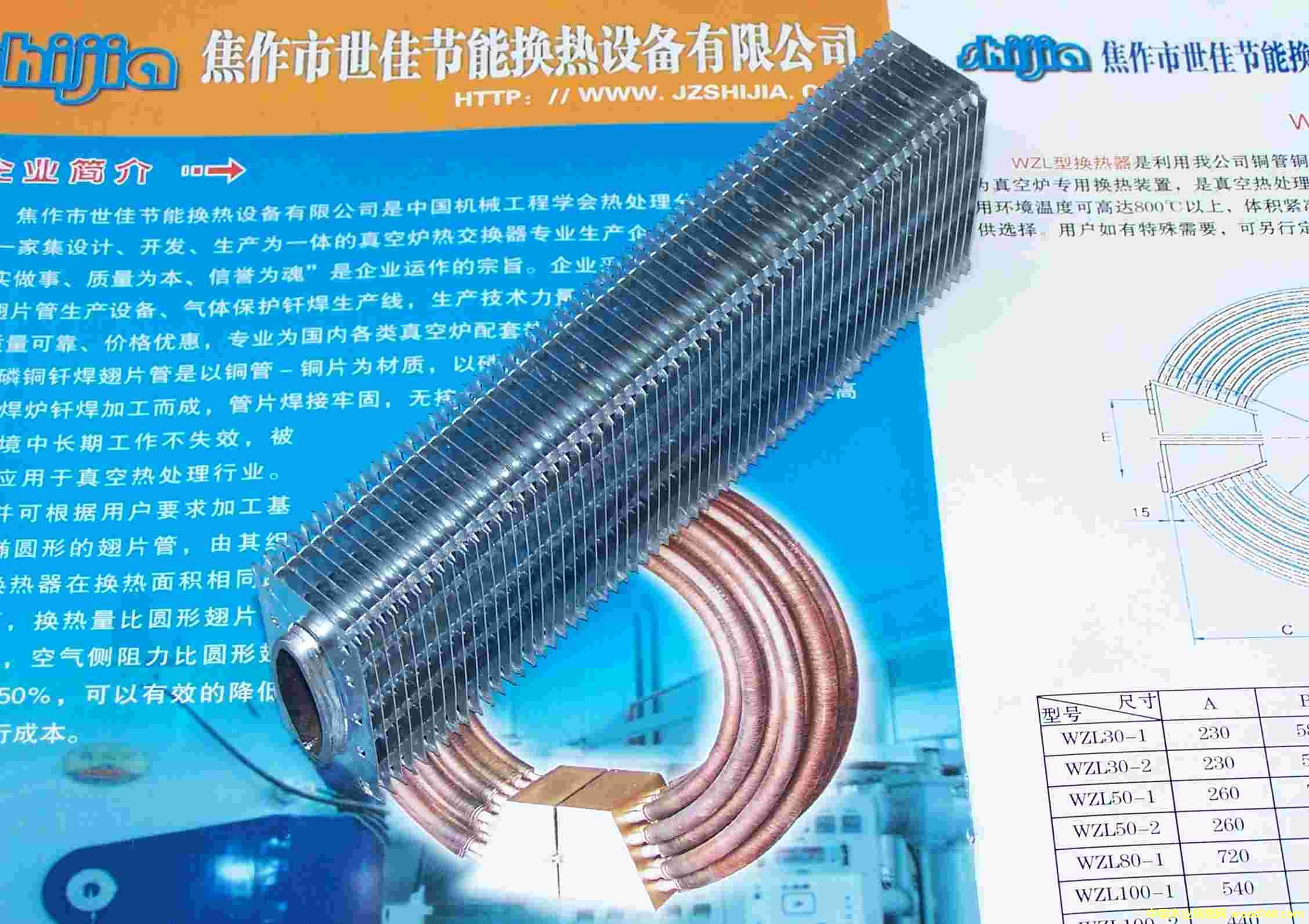 �E�A���γ�Ƭ�ܵ�Ԕ��(x��)��B