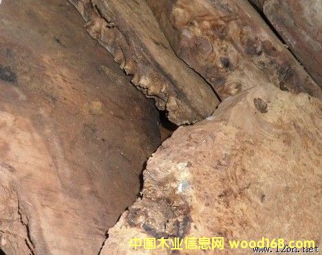 ����ľ����ë�ϵ�Ԕ��(x��)��B