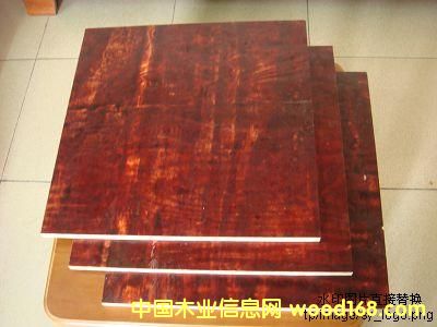 ����ģ���Ԕ����B