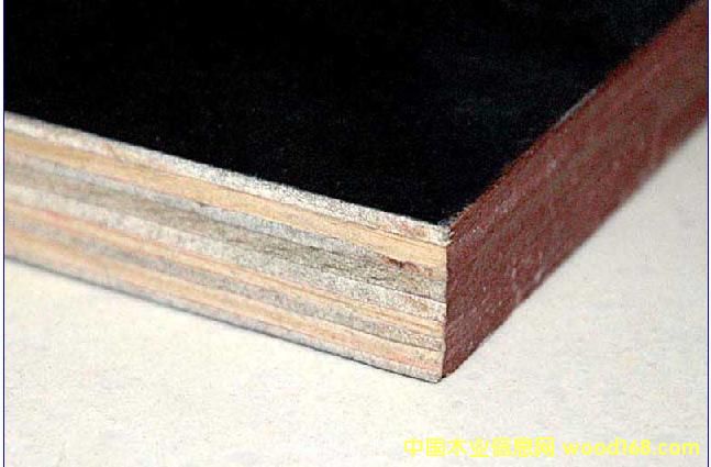 �c���鿴ӡ�ָ�Ĥ��Ŵ�DƬ