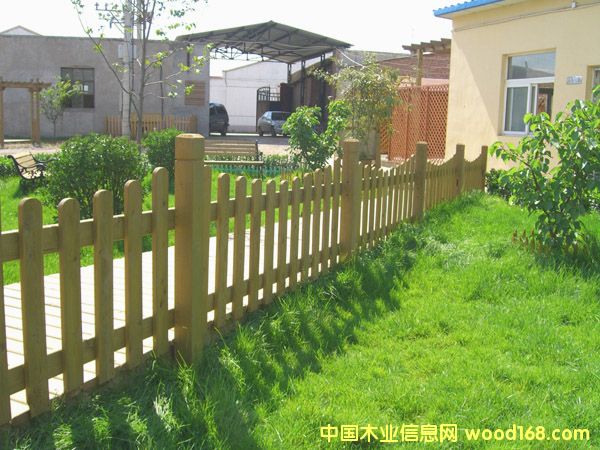 �L(zh��ng)ɳ����ľľ�řڇ��ڵ�Ԕ��(x��)��B