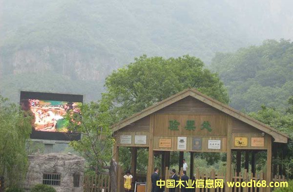 �L(zh��ng)ɳ����ľľ�ݵ�Ԕ��(x��)��B