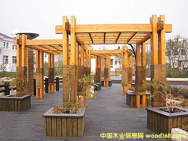 �L(zh��ng)ɳ����ľ���@���ȵ�Ԕ��(x��)��B