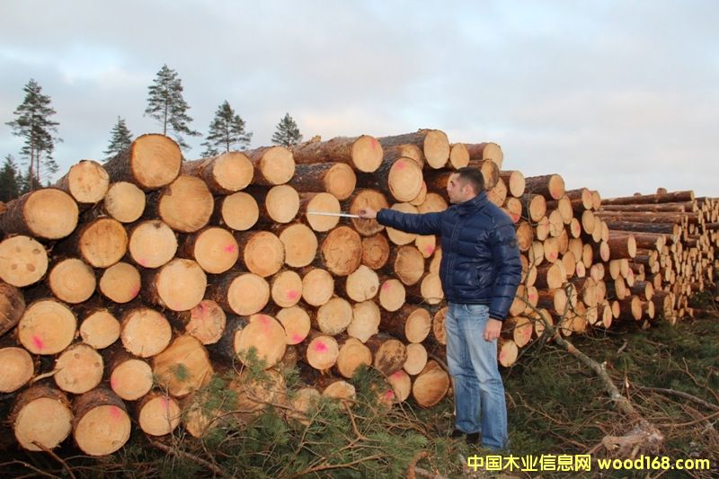 �����ɵ�Ԕ��(x��)��B