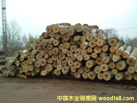 ��ľ��Ԕ��(x��)��B