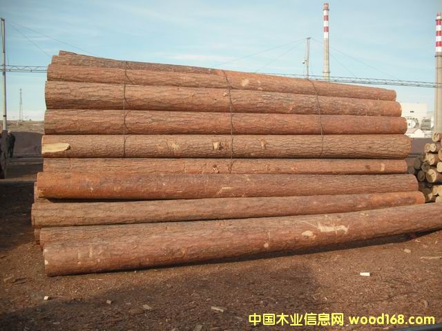 �t���ɵ�Ԕ����B