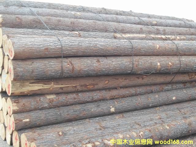 �t�ɵ�Ԕ����B