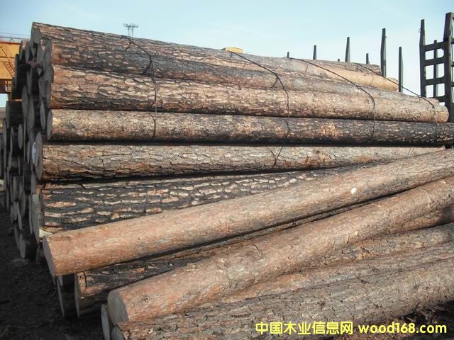 ����(y��ng)�����ɵ�Ԕ����B