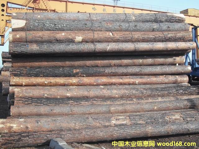 ��Ƥ���ɵ�Ԕ����B