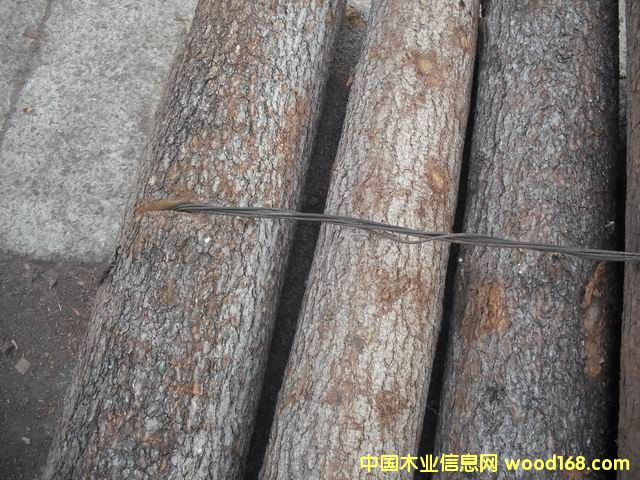 �~�[�ɵ�Ԕ����B