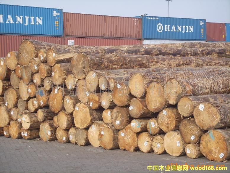 �����mݗ����ԭľKI������