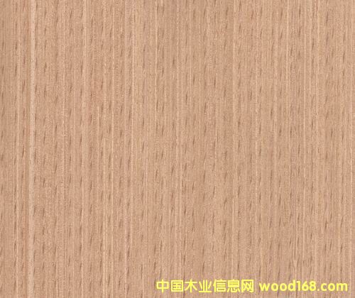 �t��1DQ��Ԕ��(x��)��B