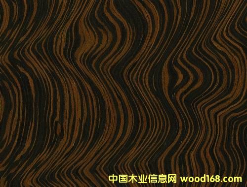 ��̴��(sh��)����Ԕ��(x��)��B