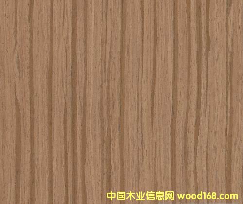 ���R5810DS