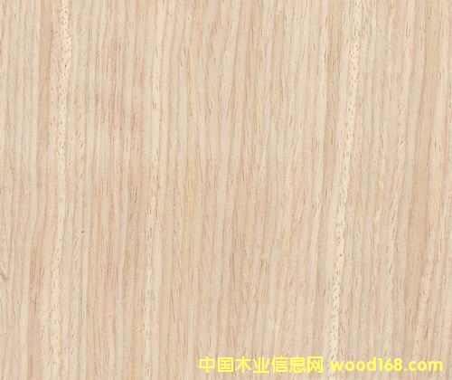 ����28S��Ԕ��(x��)��B